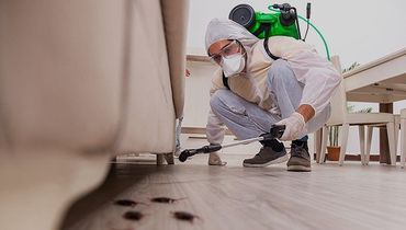 Roach Control Services
